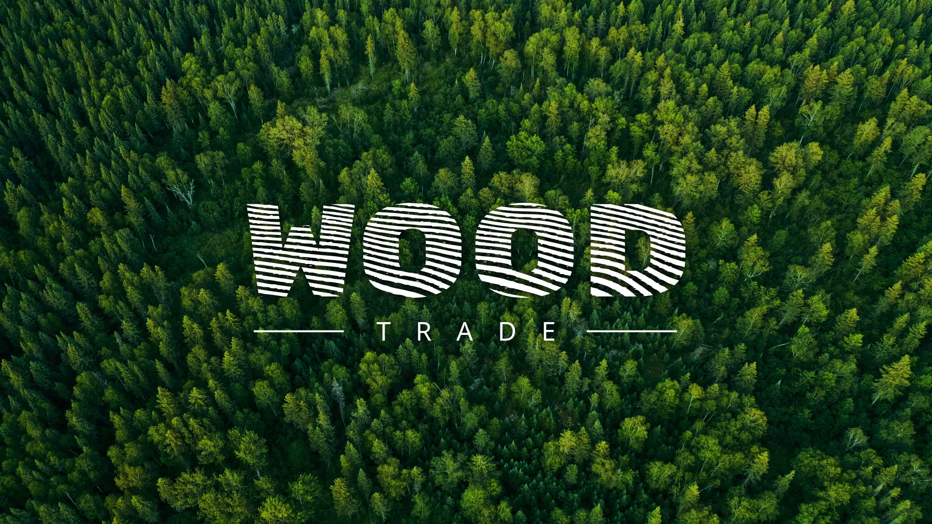 Разработка интернет-магазина компании «Wood Trade» в Бодайбо