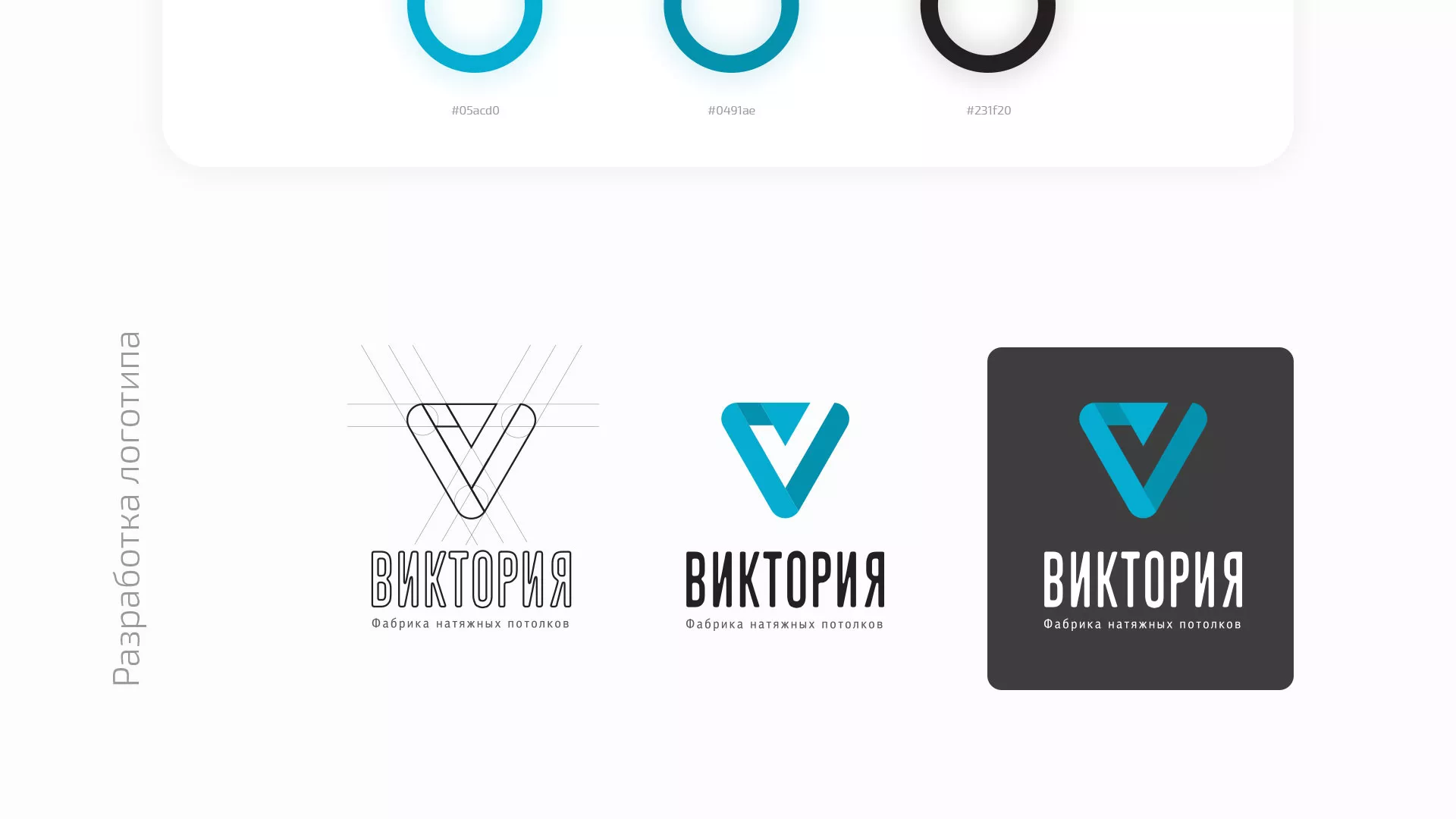 Разработка фирменного стиля компании по продаже и установке натяжных потолков в Бодайбо